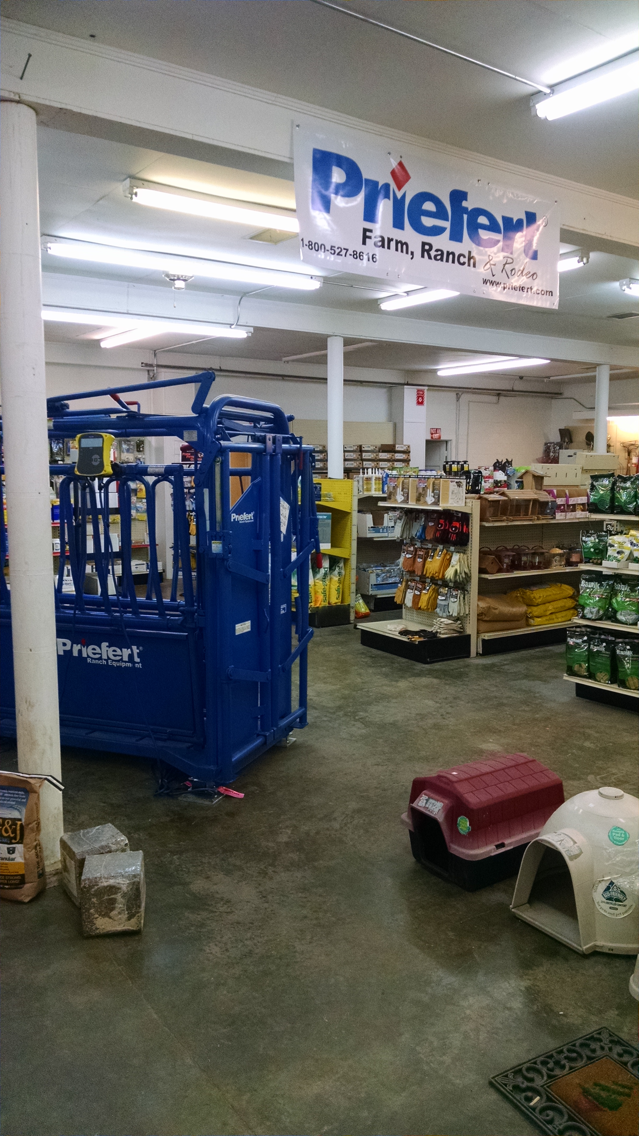 Indoor Squeeze Chute Display
